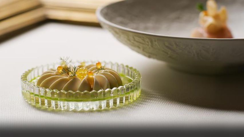 Trailer „Ammolite – House of Light“